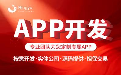 我需要app开发定制软件开发原生开发交友聊天电商服务